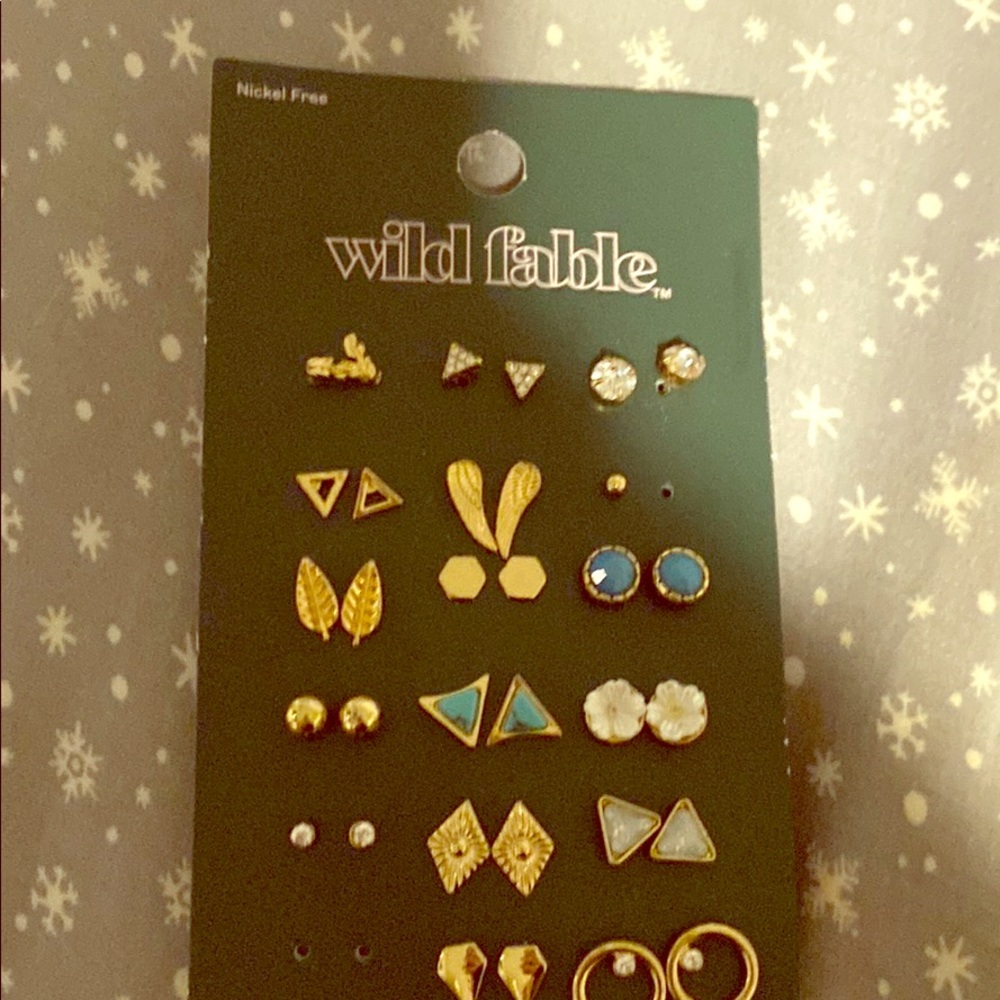 Wild fable earrings set